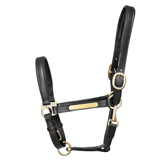Boomerang Equestrian - Hy Equestrian Leather Headcollar With Plate