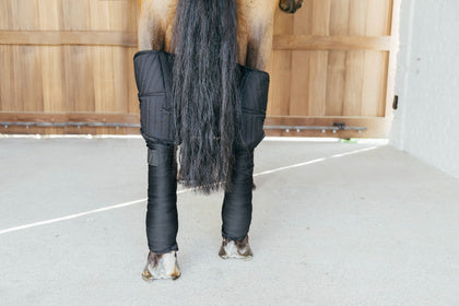 Kentucky Transport Stable Bandage Pad With Hock Protection Black