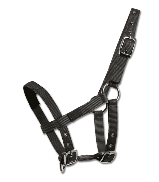 Boomerang Equestrian - Waldhausen Padded Halter