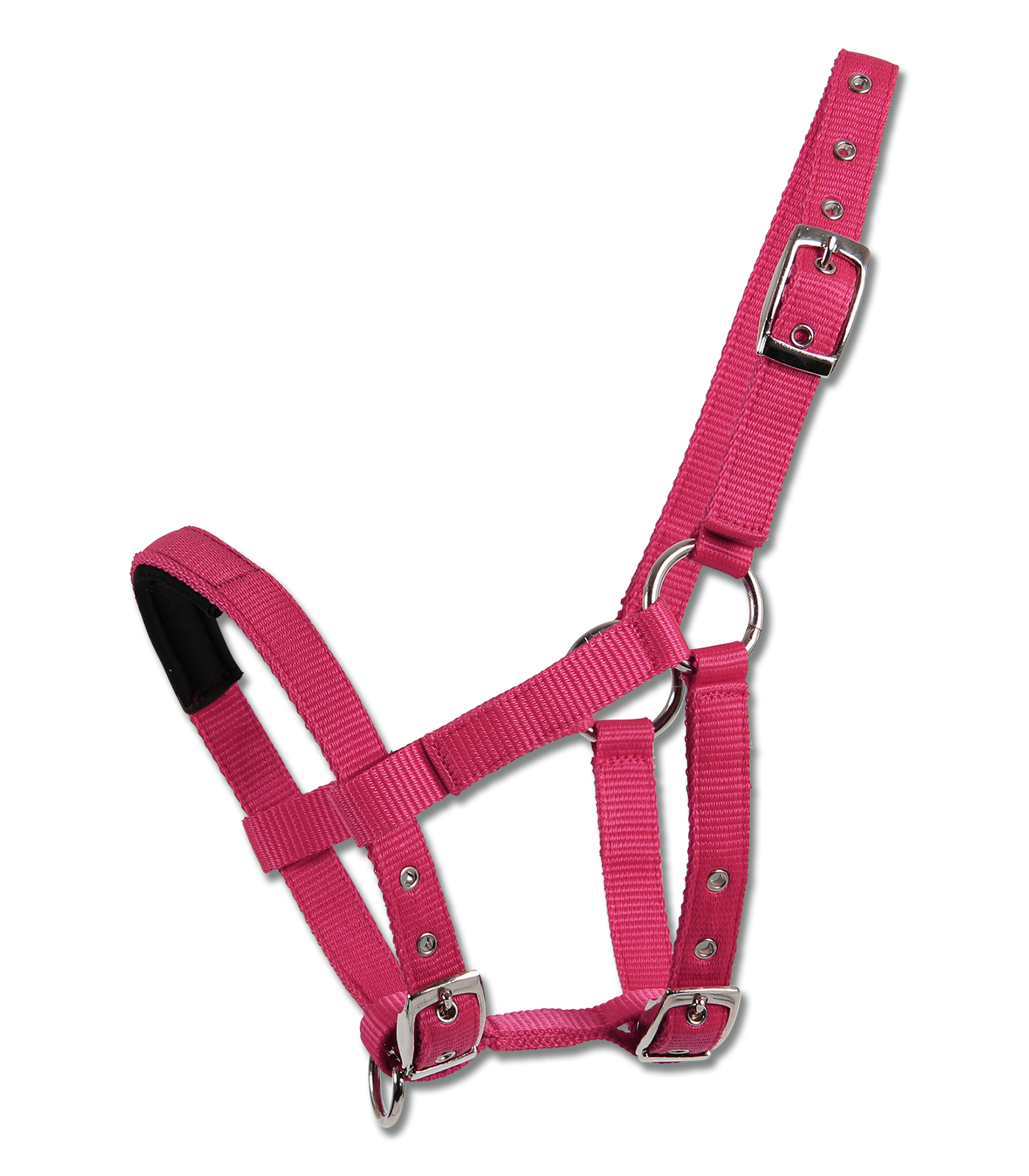 Boomerang Equestrian - Waldhausen Padded Halter