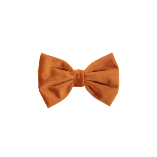 Boomerang Equestrian - Kentucky Bow Tie Velvet Orange