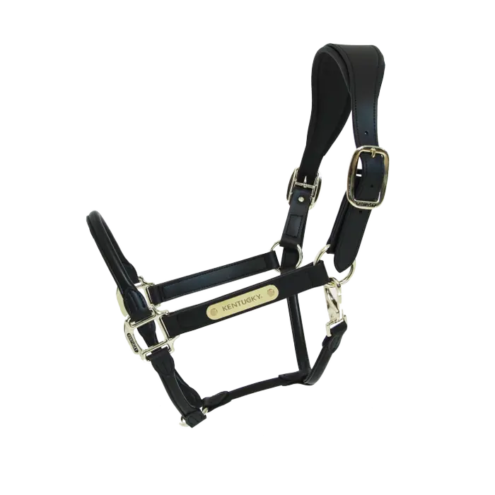 Boomerang Equestrian - Kentucky Leather Anatomic Halter Black