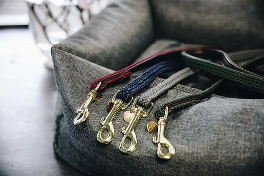 Boomerang Equestrian - Kentucky Plaited Nylon Dog Lead Bordeaux