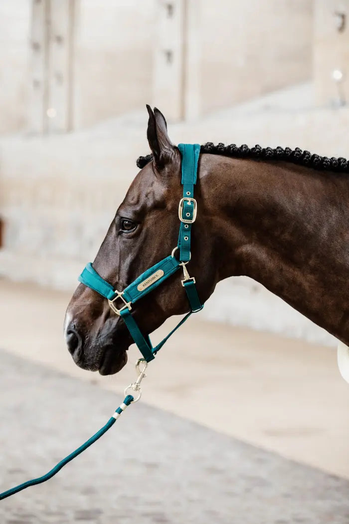 Boomerang Equestrian - Kentucky Lead Rope Basic Emerald