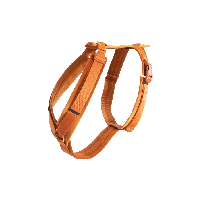Boomerang Equestrian - Kentucky Dog Harness Active Velvet Orange