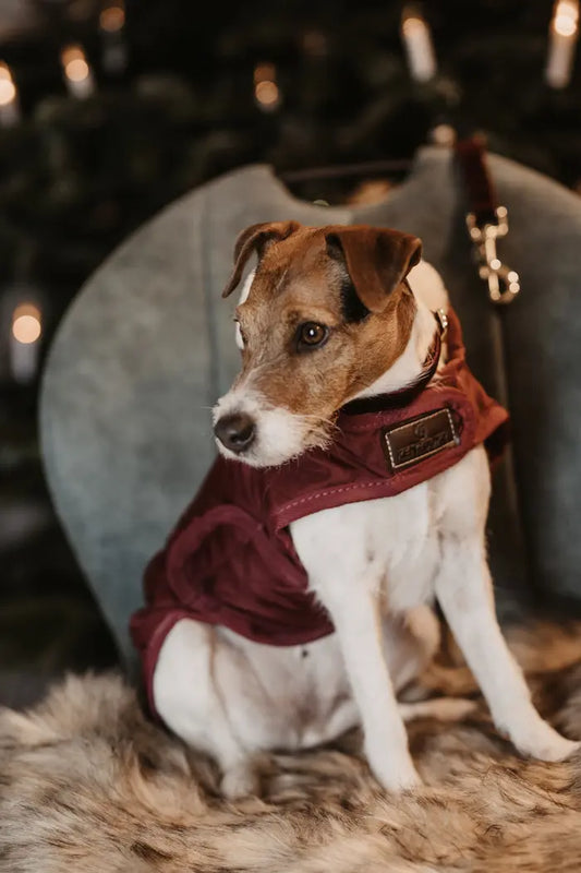 Boomerang Equestrian - Kentucky Dog Coat Original Bordeaux