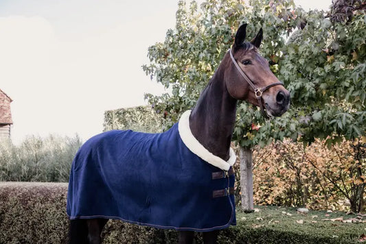 Boomerang Equestrian - Kentucky Fleece Show Rug Heavy Navy