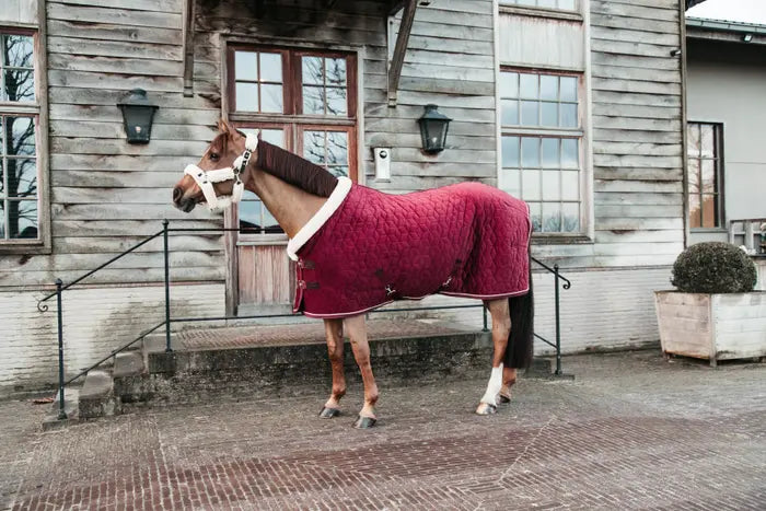 Boomerang Equestrian - Kentucky Velvet Show Rug Bordeaux 160g