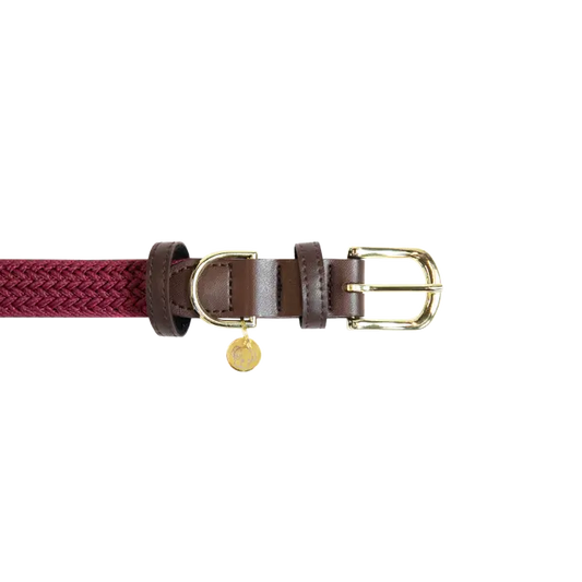 Boomerang Equestrian - Kentucky Plaited Nylon Dog Collar Bordeaux