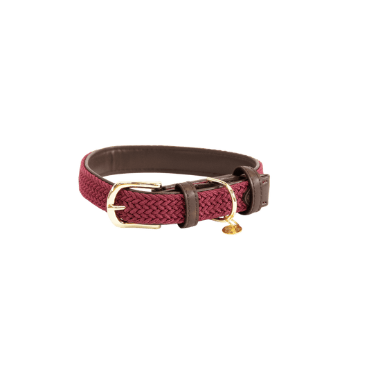 Plaited Nylon Dog Collar | Kentucky Dogwear | Stylish — Image 2