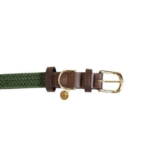 Boomerang Equestrian - Kentucky Plaited Nylon Dog Collar Olive Green