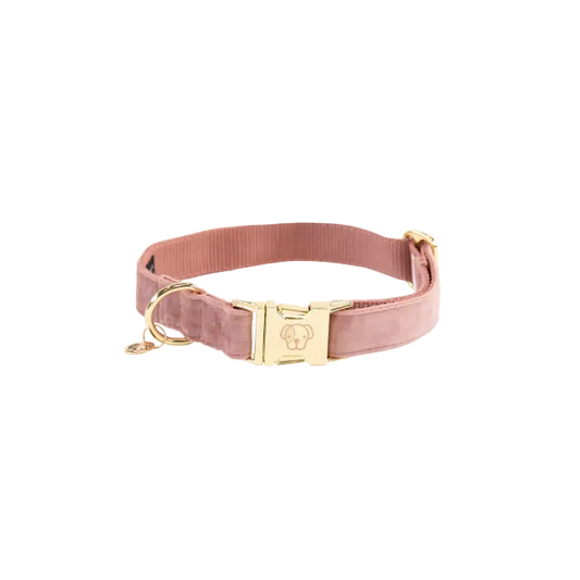 Boomerang Equestrian - Kentucky Dog Collar Velvet Old Rose