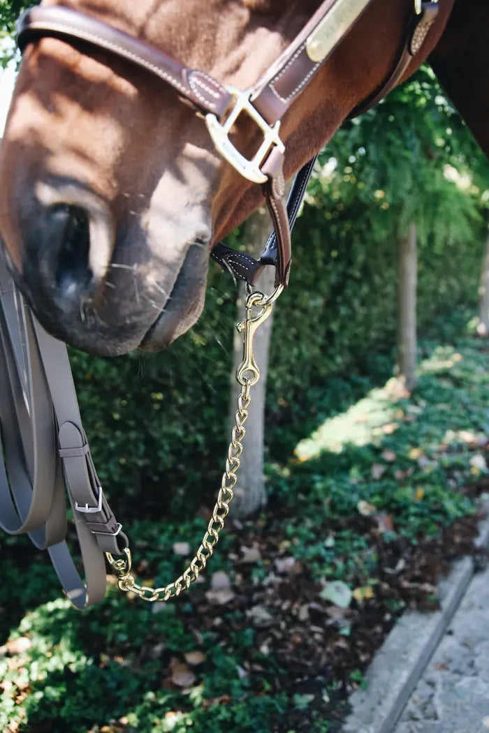 Boomerang Equestrian - Kentucky Stallion Chain