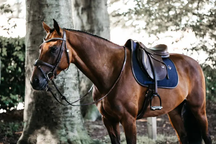 Boomerang Equestrian - Kentucky Saddle Pad Leather Colour Edition Jumping Navy