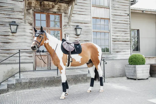 Boomerang Equestrian - Kentucky Fly Veil Wellington Velvet Pearls Black