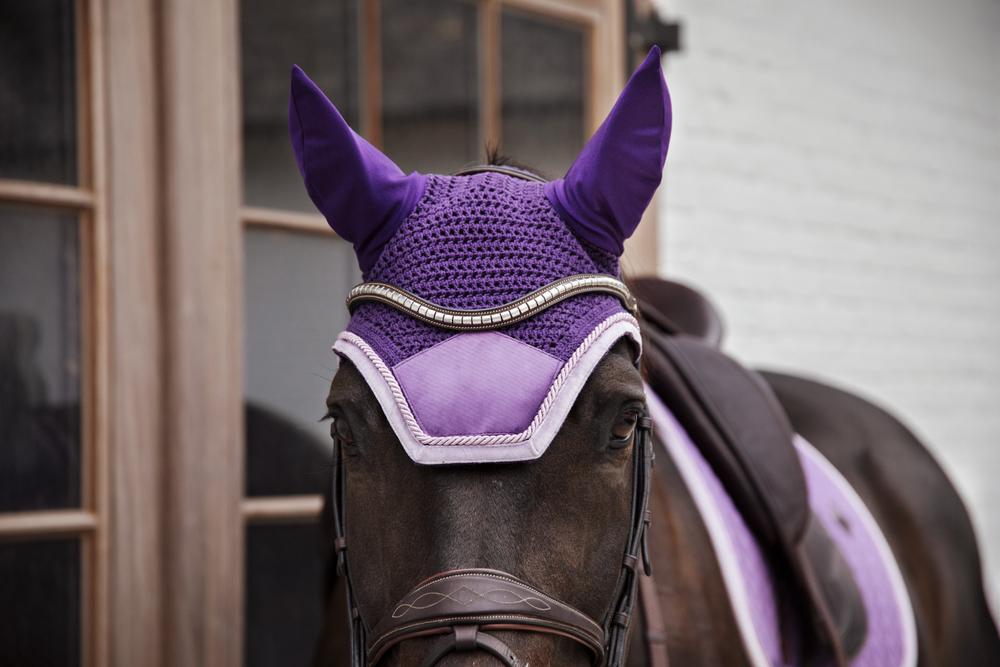 Fly Veil Wellington Velvet Contrast | Kentucky Horsewear | luxuriousvelvet — Image 4
