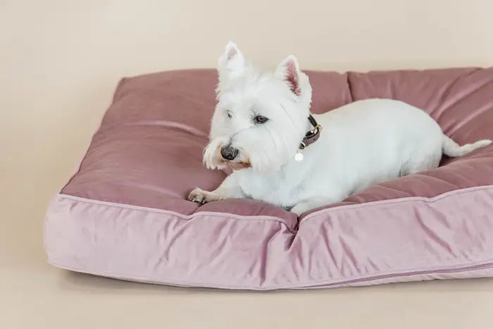 Boomerang Equestrian - Kentucky Dog Bed Pillow Velvet Old Rose