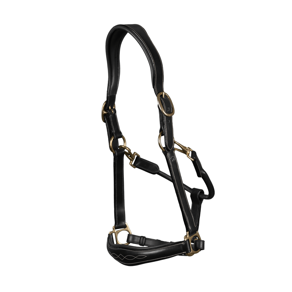 Leather Halter | Dy'on | versatile — Image 4