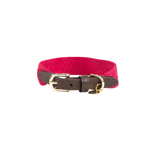 Dog Collar Jacquard | Kentucky Dogwear | Stylish — Image 2