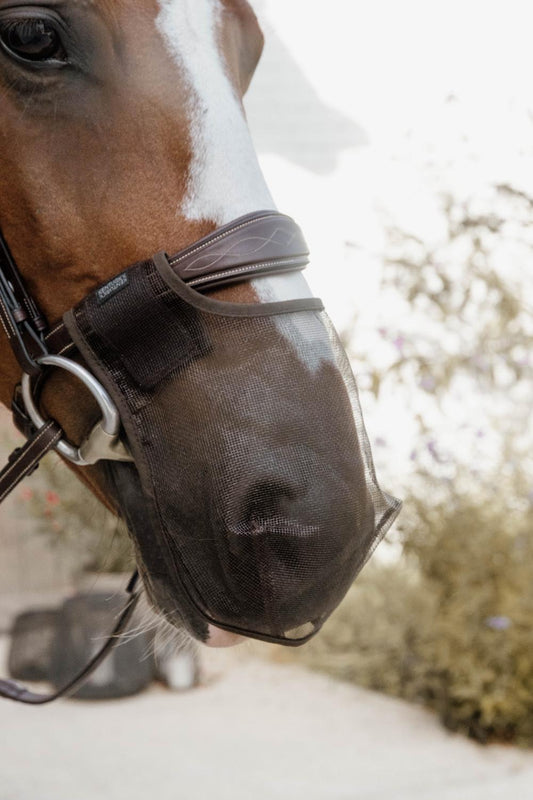 Anti Fly Nose Net | Kentucky Horsewear | breathable — Image 2