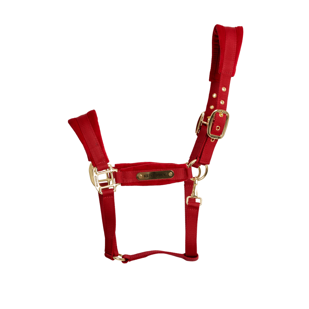 Velvet Halter | Kentucky Horsewear | VelvetDesign — Image 20