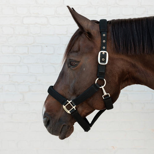 Halter 3D Mesh | Kentucky Horsewear | KentuckyHorsewear — Image 2