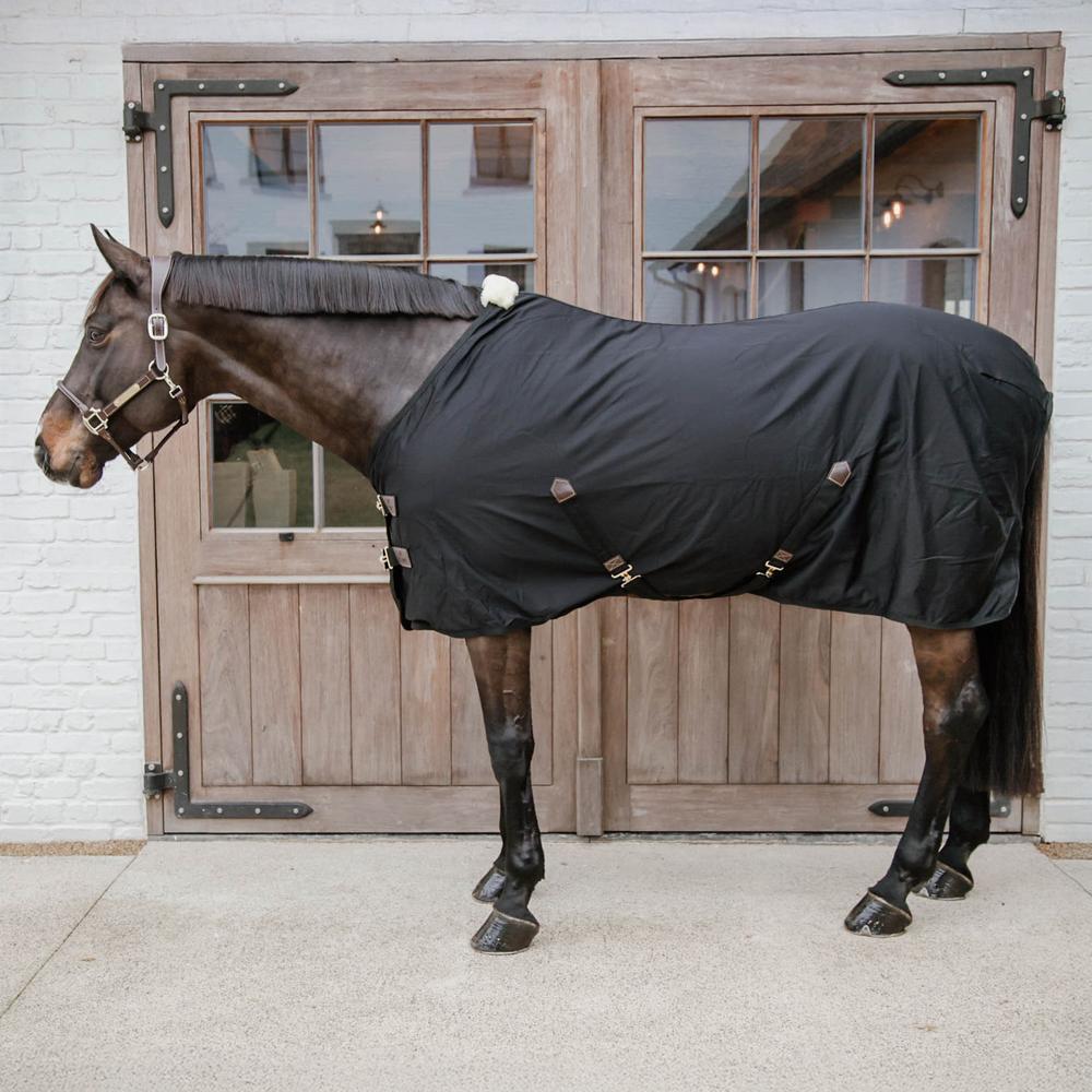 Cotton Sheet | Kentucky Horsewear | Versatile — Image 6