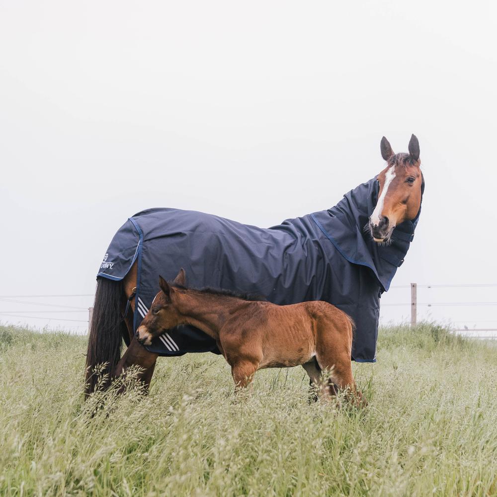 Turnout Rug All Weather Waterproof Comfort | Kentucky Horsewear | Waterproof — Image 14