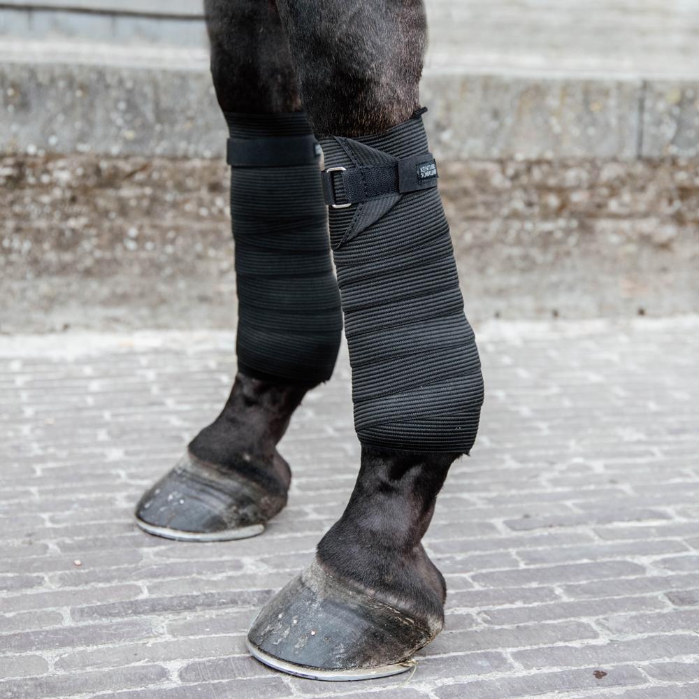 Elastic Bandages | Kentucky Horsewear | flexible — Image 5