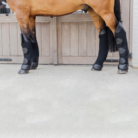 3D Spacer Travel Boots Hind | Kentucky Horsewear | Breathable — Image 2