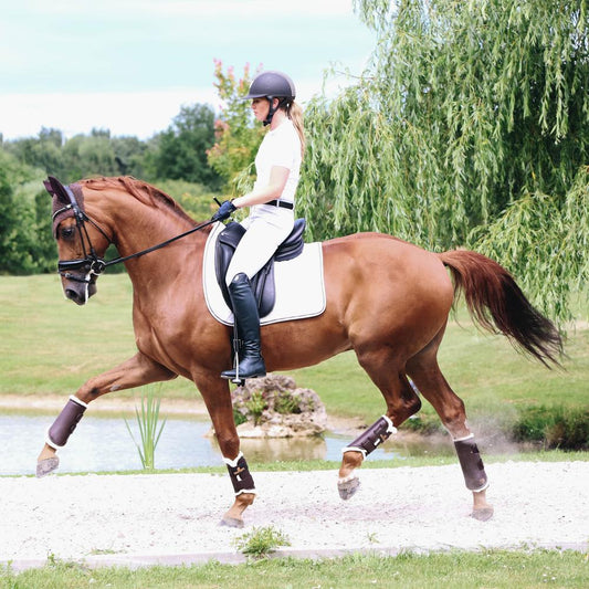 Brushing Boots Leather Front | Kentucky Horsewear | Comfort — Image 2