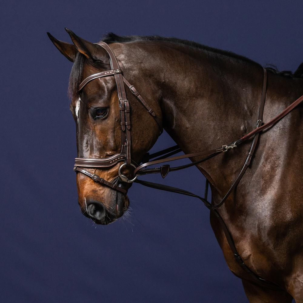 1/2" Howlett Rubber Reins With 7 Leather Loops | Dy'on | — Image 4