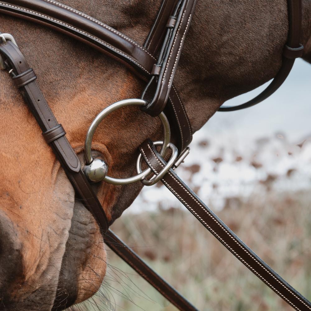 Rubber Reins 1/2" with 7 Leather Stops Ring Closure | | — Image 7