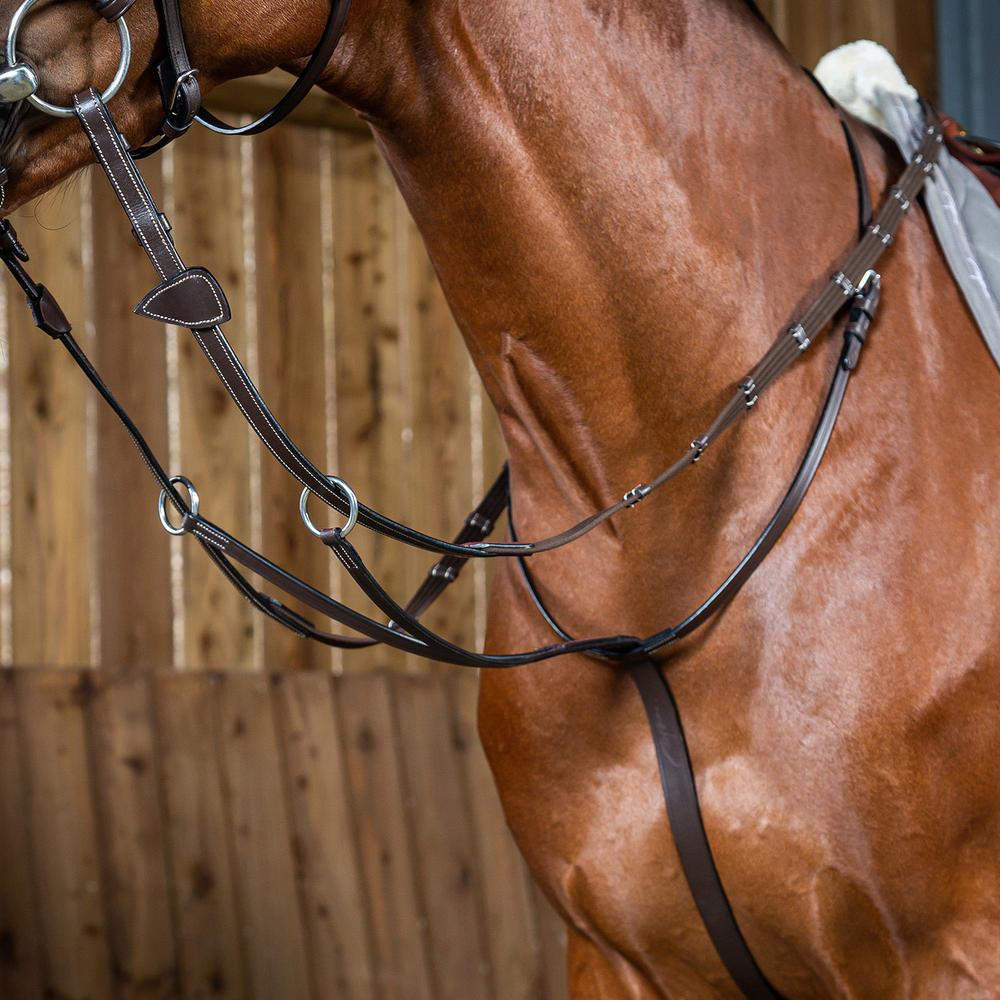 Running Martingale | Dy'on | control — Image 2
