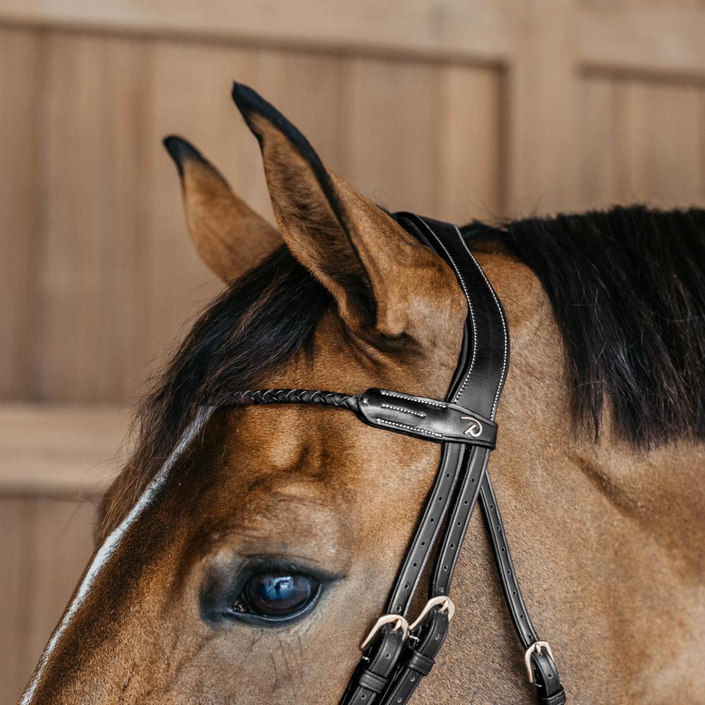 Braided Browband | Dy'on | PremiumLeather â Image 4