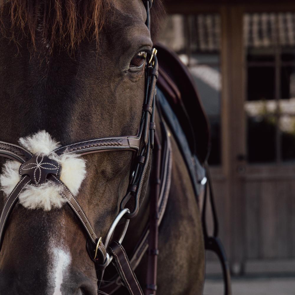 Plaited Figure 8 Noseband | | — Image 4