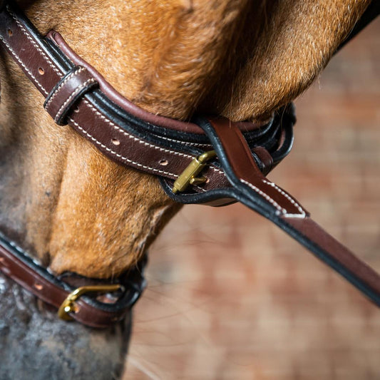 Standing Martingale Attachment | Dy'on | premium leather — Image 2
