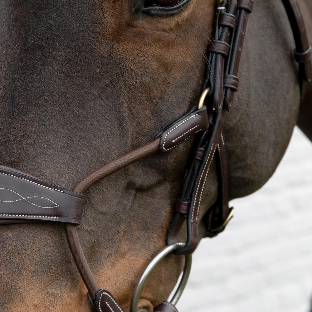 Elastic Hybrid Noseband | | — Image 5