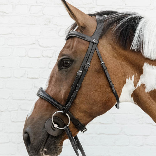 Anatomic Noseband Without Flash | | — Image 2