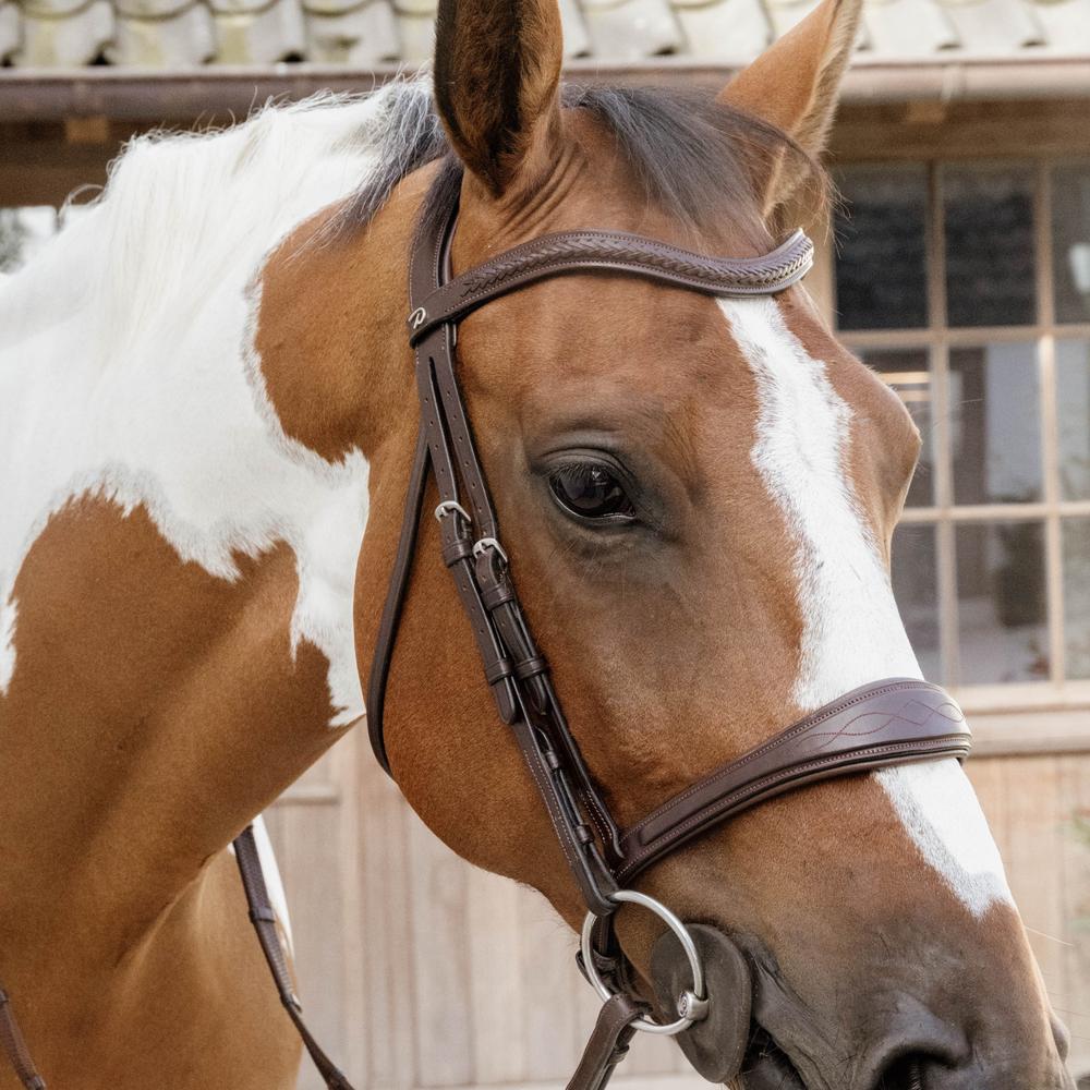 Anatomic Noseband Without Flash | | — Image 6