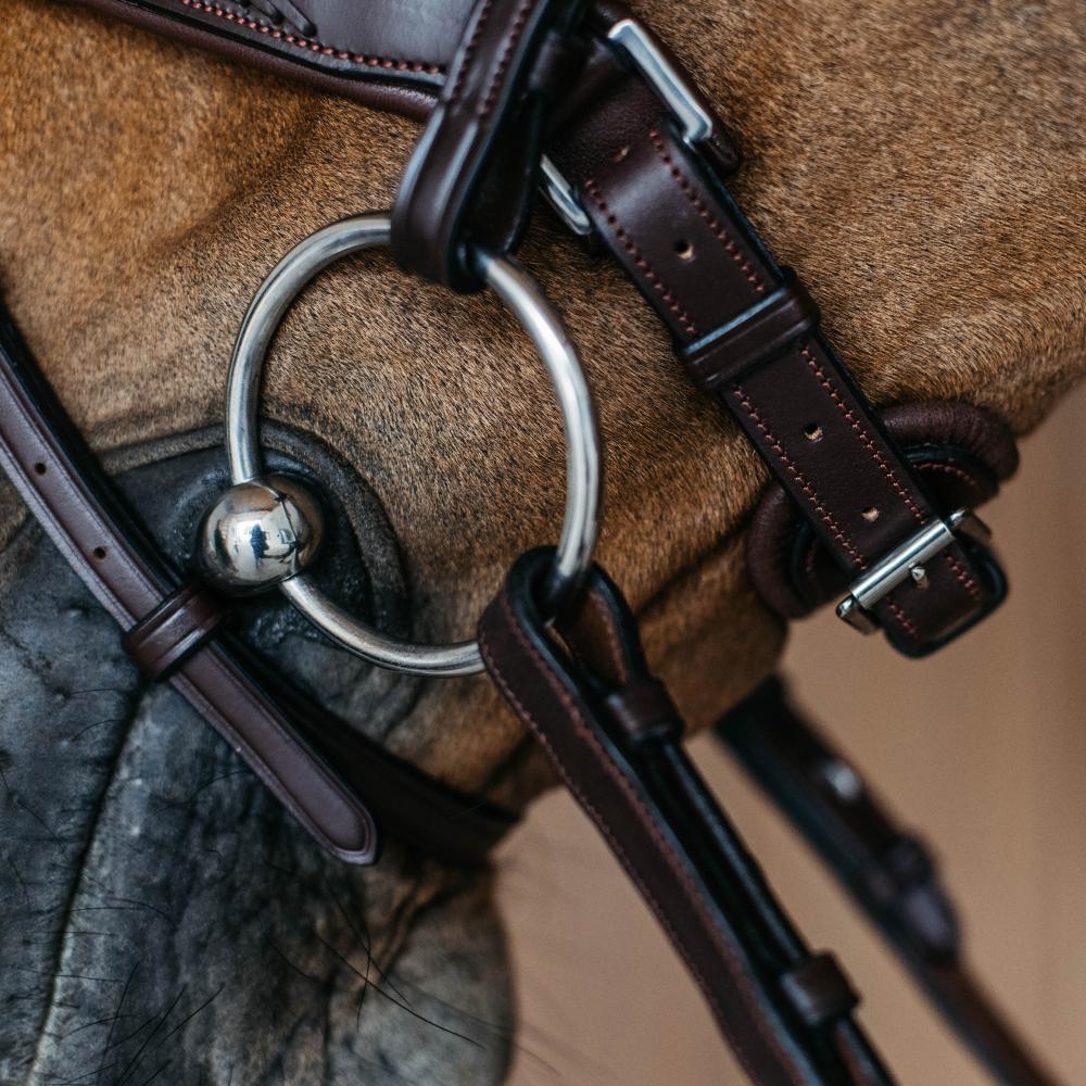 Plaited Medium Noseband with Pull-back | Dy'on | — Image 6