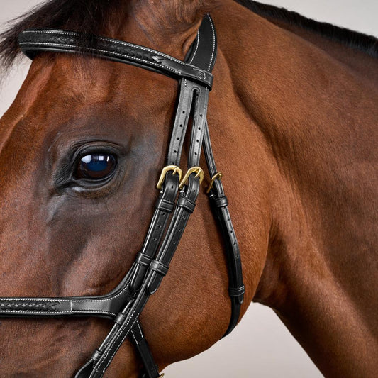 Plaited Figure 8 Noseband Bridle DY | | elegance — Image 2