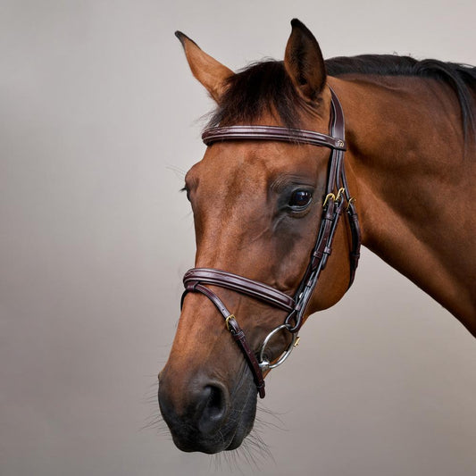 Flash Noseband Bridle DY | Dy'on | Durability — Image 2
