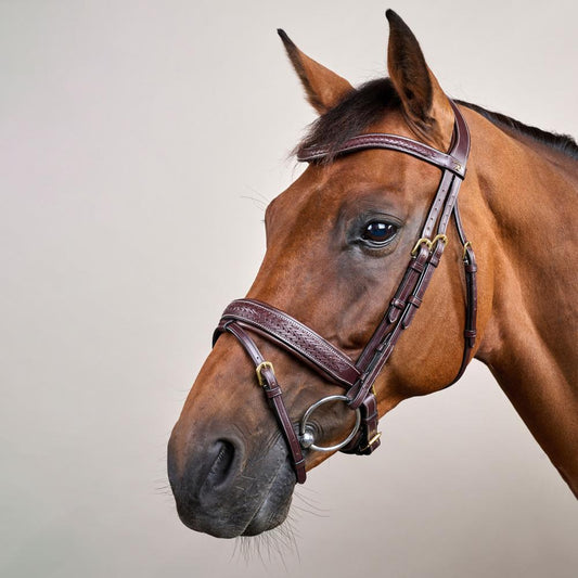 Plaited Flash Noseband Bridle with Pull back DY | Dy'on | elegance — Image 2