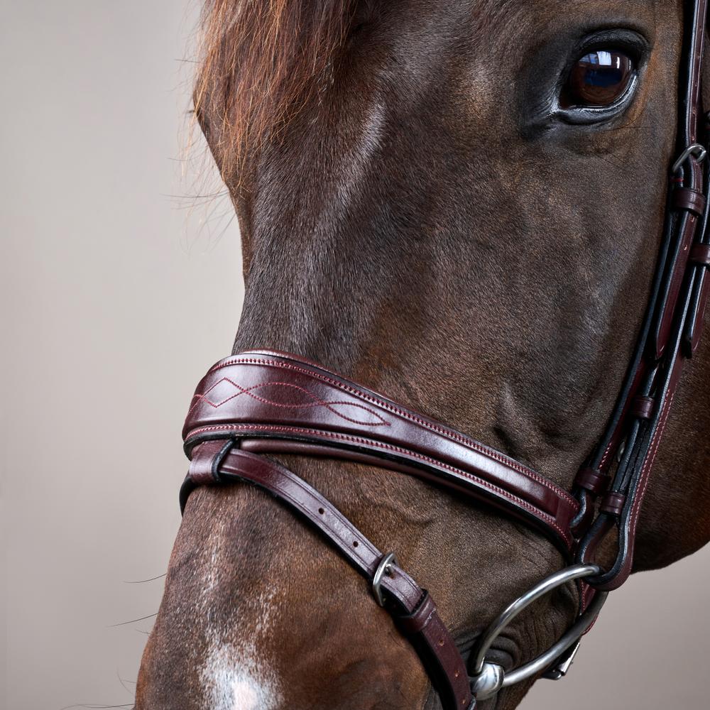 Anatomic Flash Noseband Bridle NE | Dy'on | elegance â Image 10