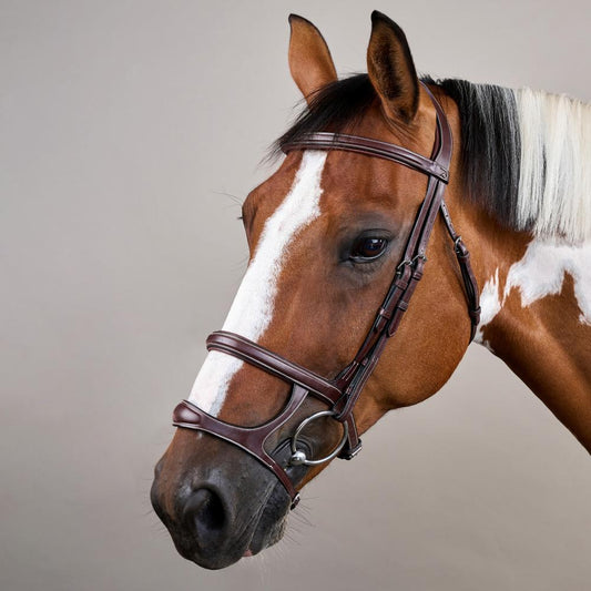 Double Noseband Bridle US | Dy'on | elegantdesign — Image 2