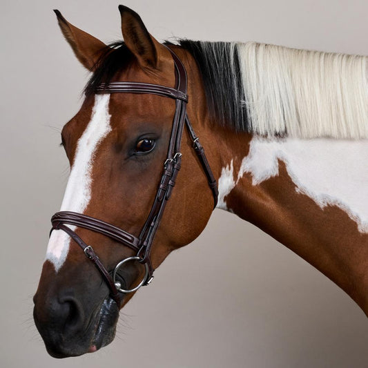 Flash Noseband Bridle US | Dy'on | elegantdesign — Image 2