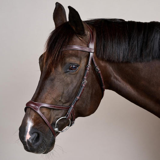 X-Fit Bridle US | Dy'on | comfort — Image 2