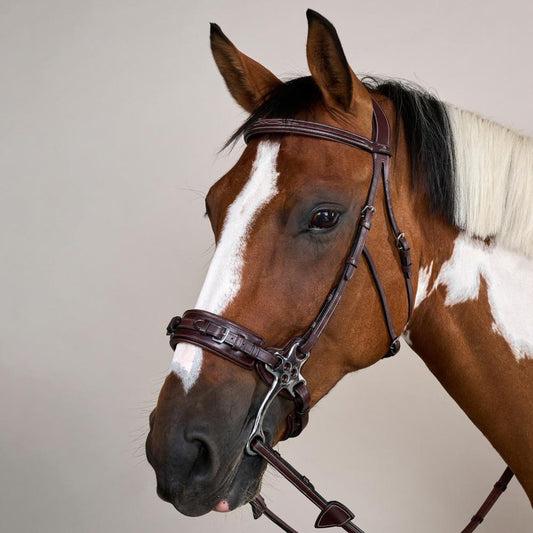 Hackamore Bridle US | Dy'on | Control — Image 2