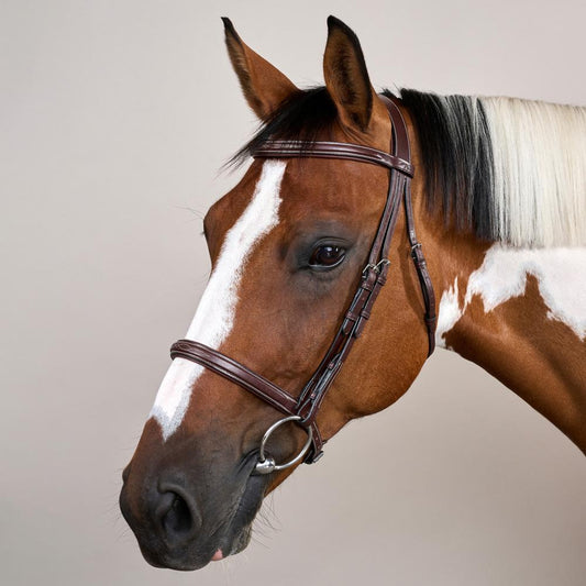 Cavesson Noseband Bridle US | Dy'on | Elegance — Image 2